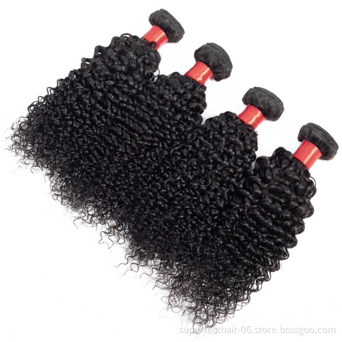Wholesale Factory Direct Supply Virgin Hair 100% Human Hair Curly Brazilian Human hair Bundles